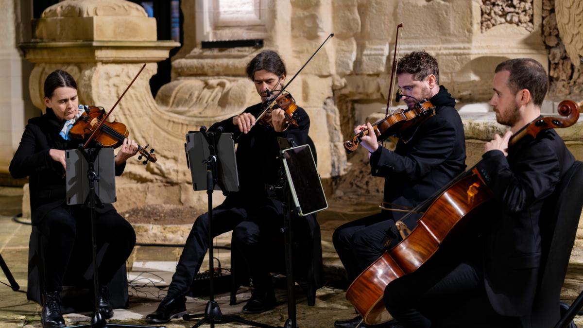 _DSC4262-Enhanced-NR